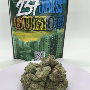 Gumbo | 237 Express