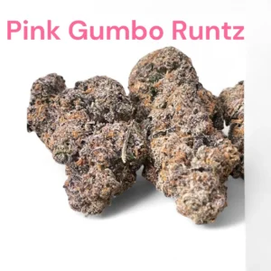 Pink Gumbo Runtz Strain