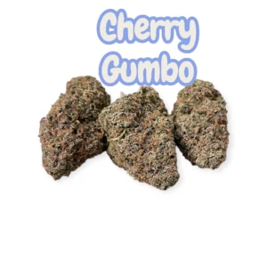 White Cherry Gumbo Strain