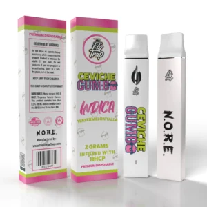 Ceviche Gumbo: Watermelon Yalla 2G Disposable