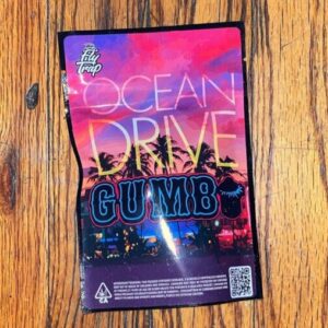 Gumbo | Ocean Drive