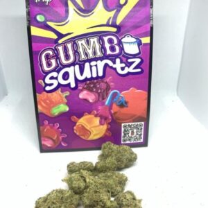 Gumbo | Squirtz