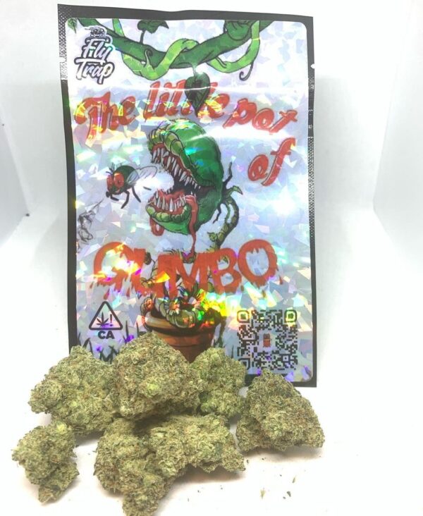 WhatsApp-Image-2021-09-06-at-6.18.55-AM-3-1-600x732-1 (1) Little Pot of Gumbo